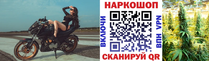 Названия наркотиков Городовиковск Кокаин  APVP  KRAKEN зеркало  Канабис 