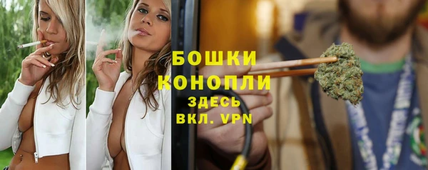 гидра Белоозёрский