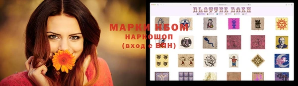 прущий лед Белокуриха