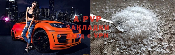 СК Беломорск