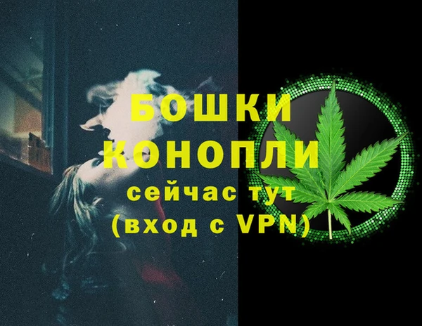 гидра Белоозёрский
