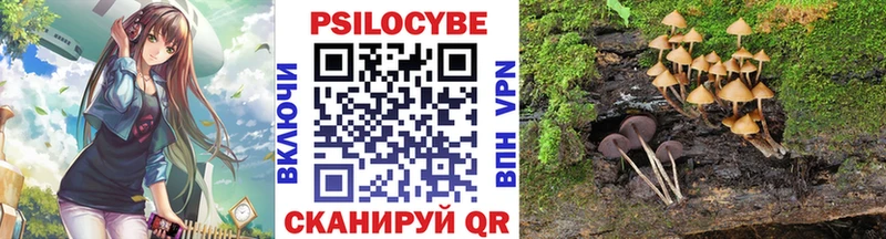 что такое   Городовиковск  это официальный сайт  Псилоцибиновые грибы MAGIC MUSHROOMS 